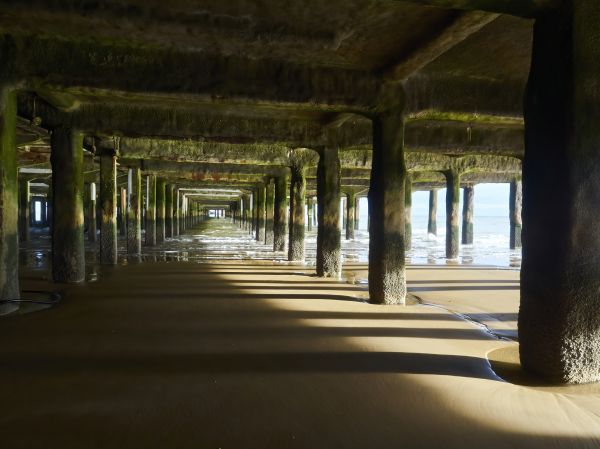 Cost of Pier And Beam Leveling in Waynesville